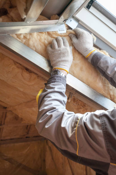 Best Residential Insulation Services  in Pine Island, TX