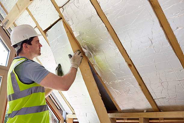Best Insulation Installation Cost  in Pine Island, TX